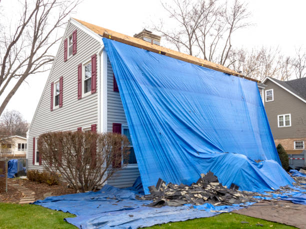 Best Shed Removal  in Taft Heights, CA